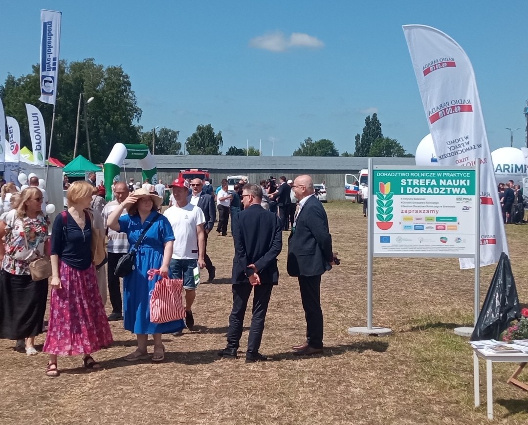 Zdjęcie do ogłoszenia