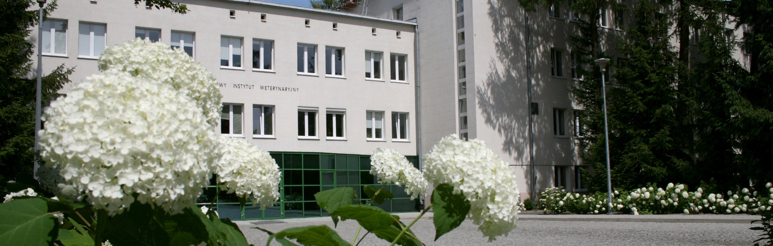 Jubileusz
