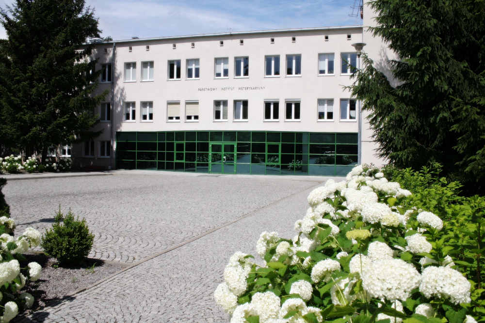 Front budynku Państwowego Instytutu Weterynaryjnego - Państwowego Instytutu Badawczego. Biały budynek z oszklonym wejściem w otoczeniu zieleni.