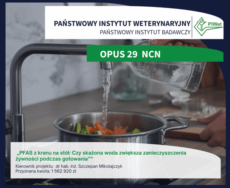 Projekt dotyczący wpływu PFAS na żywność z dofinansowaniem w konkursie OPUS 29