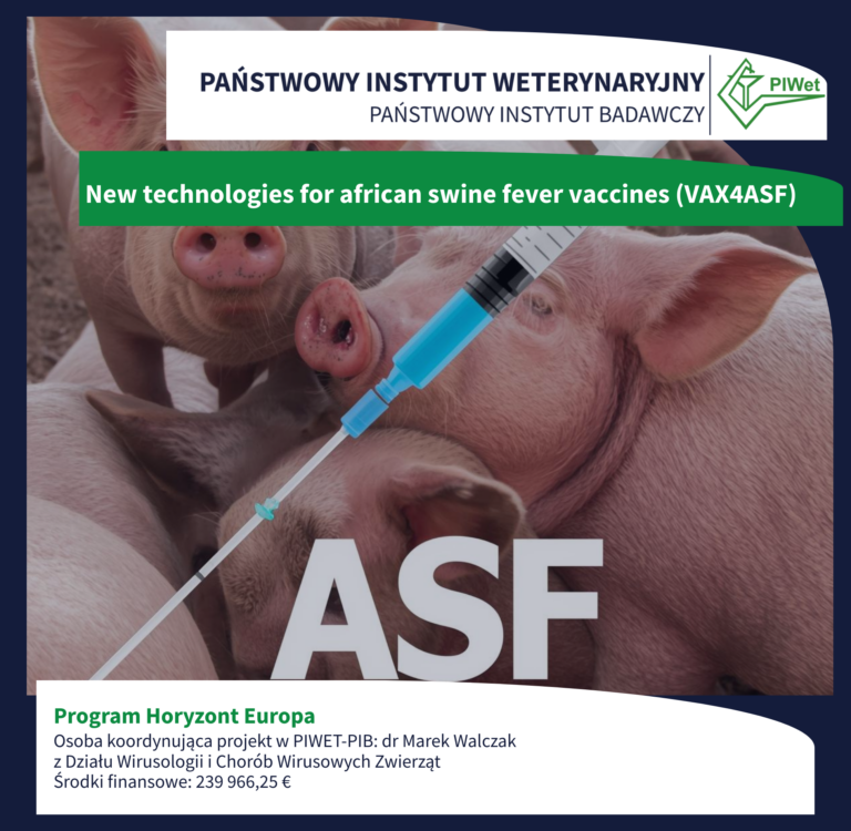 Afrykański Pomór Świń – globalne wyzwanie, wspólne rozwiązanie