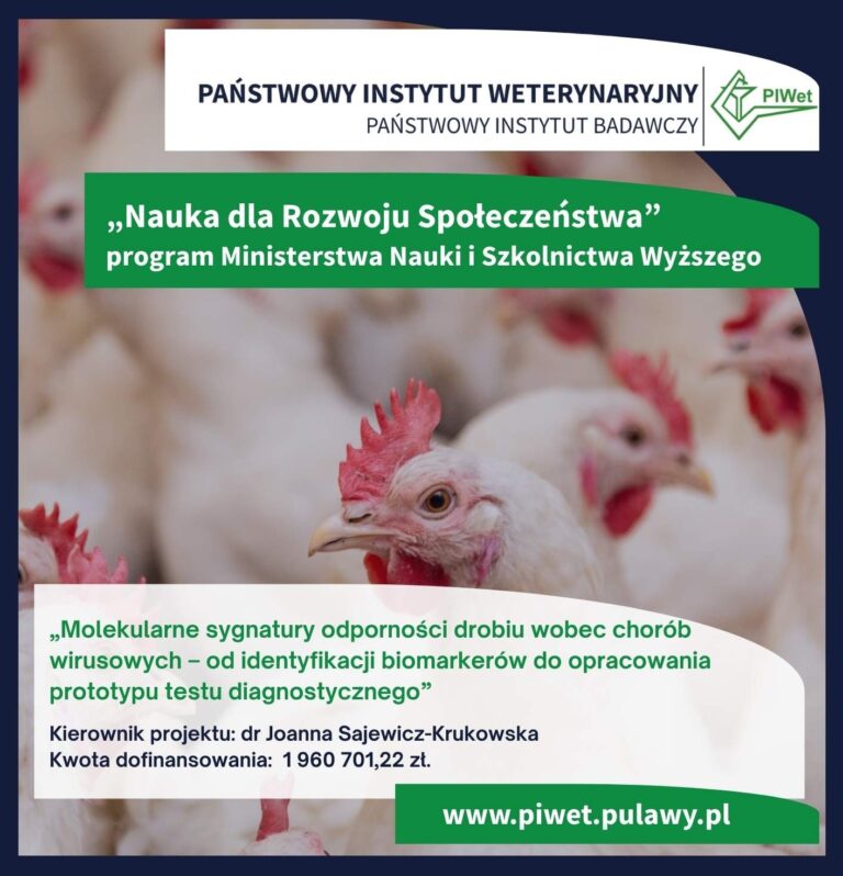 Dr Joanna Sajewicz-Krukowska z finansowaniem MNiSW na innowacyjny projekt diagnostyki chorób wirusowych drobiu