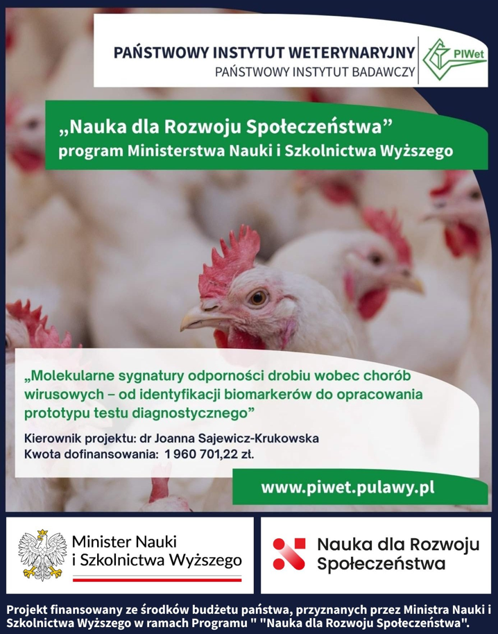 Dr Joanna Sajewicz-Krukowska z finansowaniem MNiSW na innowacyjny projekt diagnostyki chorób wirusowych drobiu