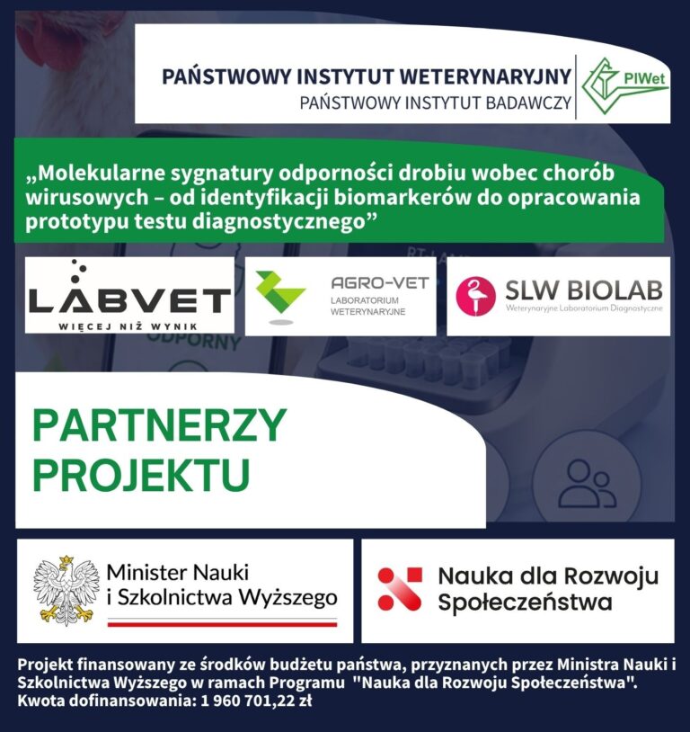 Rozpoczęcie badań terenowych w projekcie dotyczącym molekularnych sygnatur odporności drobiu